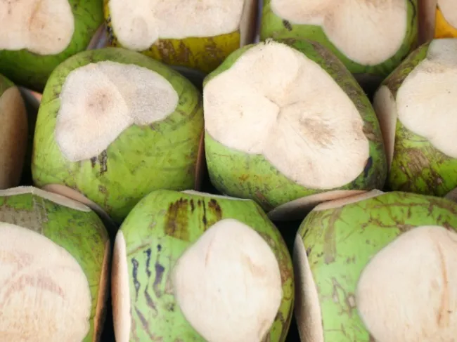 coconuts